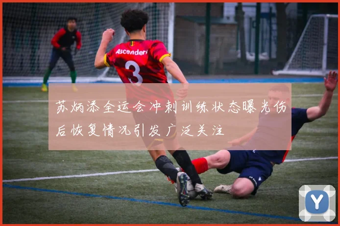 苏炳添全运会冲刺训练状态曝光伤后恢复情况引发广泛关注