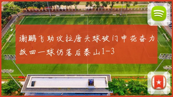 谢鹏飞助攻拉唐头球破门申花奋力扳回一球仍落后泰山1-3